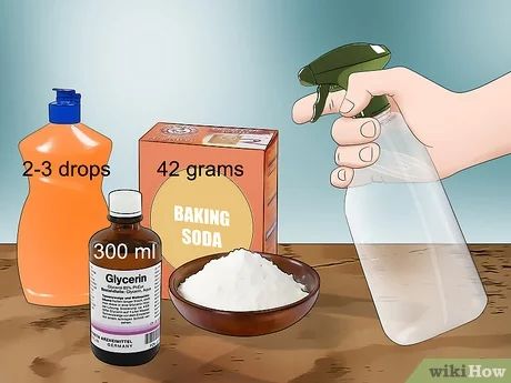 Diy Upholstery Cleaner, Peppers And Potatoes, Cleaning Pet Urine, Tomato Worms, Regions Of The United States, Pee Stains, Organic Insecticide, Pee Smell, Urine Smells