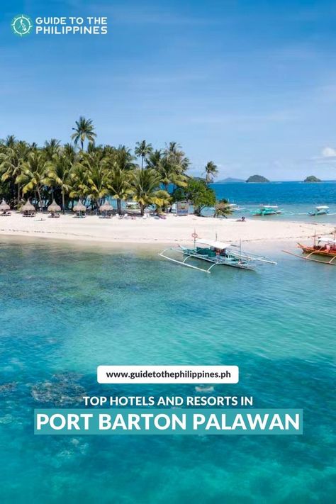 A simple yet comfortable retreat is what you're guaranteed of in these top resorts and hotels in Port Barton, Palawan! Philippines Travel, Palawan, Top Hotels, The Philippines, Hotels And Resorts, Budget Friendly, Philippines, Travel Guide, How To Memorize Things