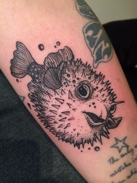 Celtic Otter Tattoo, Blowfish Tattoo, Pufferfish Tattoo, Pufferfish Drawing, Puffer Fish Tattoo, Ocean Fish Tattoo, Hermit Tattoo, Aquatic Tattoos, Celtic Motherhood Tattoo