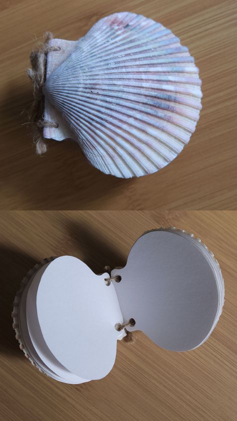 Diys With Seashells, Crafts To Make With Shells, Aesthetic Cardboard Crafts, Seashell Notebook, What To Do With Shells, Clam Shell Crafts, Shell Journal, Sea Shells Crafts, Diy Seashell Crafts