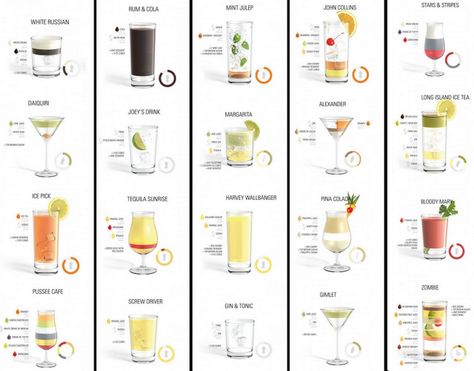 LiveImagePhoto.com: Liquor and Mixed Drinks infographic Common Cocktails, Malibu Mixed Drinks, Gin Ingredients, Harvey Wallbanger, Malibu Drinks, Cocktail Drinks Alcoholic, Long Island Iced Tea, Alcoholic Cocktails, Tequila Sunrise