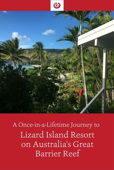 Family-Friendly Review of Lizard Island Resort, Australia with Kids Great Barrier Reef Australia, Great Barrier Reef Travel, Glowworm Caves New Zealand, Lizard Island Australia, Ningaloo Reef Western Australia, Where Is Bora Bora, Fiji Travel, Family Friendly Hotels, Road Trip With Kids