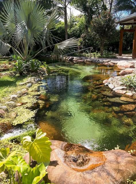 Piscine : inspiration lagon, bassin sauvage et piscine au style naturel - Côté Maison Awesome Pools, Swimming Ponds, Pool Pond, Taman Air, Natural Swimming Ponds, Garden Pond Design, Outdoor Ponds, Small Pool Design, Swimming Pond