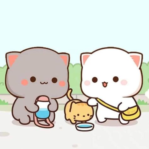 https://instagram.com/bububabycouples?igshid=1ltp86tpxp77w Cat Cute Couple, Peach And Goma, Peach Goma, Chibi Cat, Cat Couple, Cute Cartoon Images, Sweet Pic, Cat Cute, Cute Cat Gif