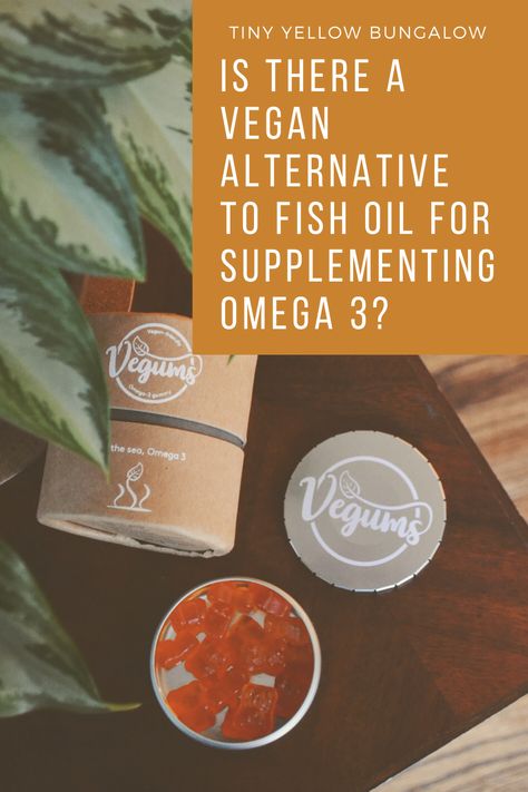 Is there a vegan alternative to fish oil for supplementing omega 3?? Yes! Have you heard of Vegums!? Yellow Bungalow, Zero Waste Kitchen, Vegan Living, Vegan Alternatives, Vegan Eats, Sustainable Food, Natural Health Remedies, Vegan Protein, Alternative Health