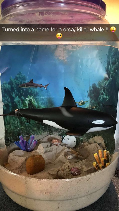 Orca diorama Orca Whale Habitat Project, Orca Diorama School Projects, Orca Habitat Project, Orca Diorama, Diorama School Projects, Whale Diorama, Orca Whale Drawing, Orca Whale Painting, Orca Cake