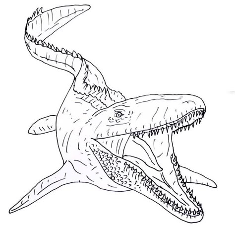 Jurassic World Mosasaurus, Sea Drawing, Shark Drawing, Dinosaur Printables, Lego Jurassic World, Clip Art Library, Jurassic World Dinosaurs, Dinosaur Coloring Pages, Dinosaur Coloring