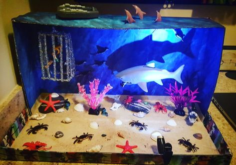 Clayton's shark habitat box / diorama Sea Animal Diorama, Show Box Diorama, Shark Diarama Ideas Kids, Great White Shark Diorama, Shark Habitat Diorama, Ocean Shoebox Habitat, Shark Diorama School Projects, Shark Habitat Project For Kids, Tide Pool Diorama