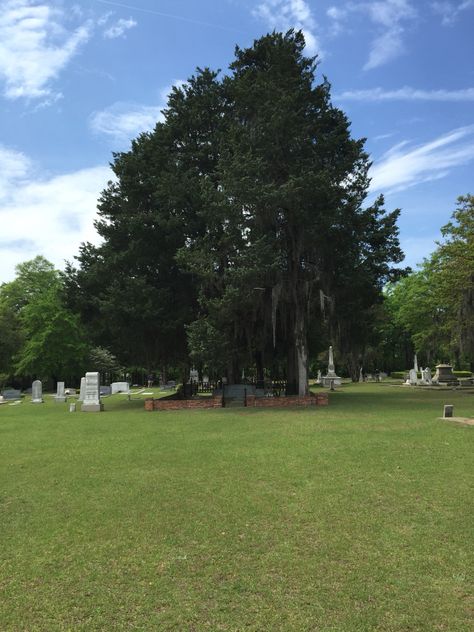 #Echos of #Evergreen #Cemetery #Tour #Perry #Georgia #PHS #theatre #April #2015 Green Wood Cemetery Brooklyn, Cemetery Of Splendour, Pere Lachaise Cemetery, Highgate Cemetery, Military Cemetery, Cemetery, Golf Courses