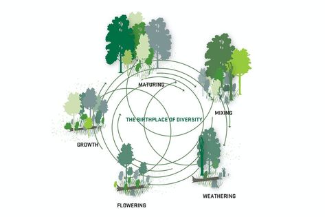 Hans Tavsen’s Park and Korsgade — Sla Landscape Diagram, Landscape Architecture Diagram, Group 8, Urban Design Diagram, Urban Design Concept, Site Analysis, Concept Diagram, Architecture Graphics, Landscape Concept