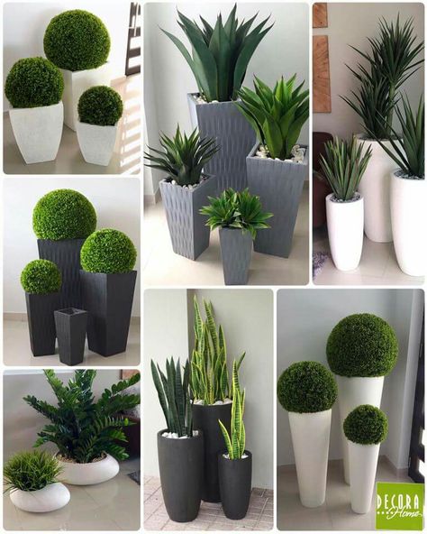 Moderne Have, نباتات منزلية, Minimalist Garden, Plant Decor Indoor, Outdoor Gardens Design, House Plants Decor, Backyard Garden Design, Garden Care, Small Garden Design