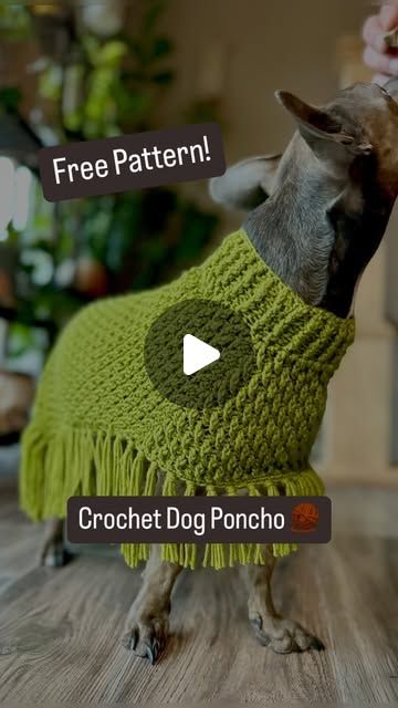 Ashlea on Instagram: "The girls got new ponchos this week… and don’t they look FAB 👏🏼 U 👏🏼 LOUS👏🏼 ?! Find the pattern on the blog or say EDPP (for Easy Dog Poncho Pattern) and I’ll send you the info. 🧶 🐶 #crochet #yarn #crochetaddict #crocheting #freecrochetpattern #crochetpattern #crochetfordogs #dog #dogs #dogsandcrochet" Dog Poncho Crochet Pattern, Crochet Dog Poncho, Crochet Dog Poncho Free Pattern, Dog Poncho, Dog Sweater Crochet Pattern, Crochet Dog Sweater, Crochet Poncho Patterns, Poncho Pattern, Crochet Dog