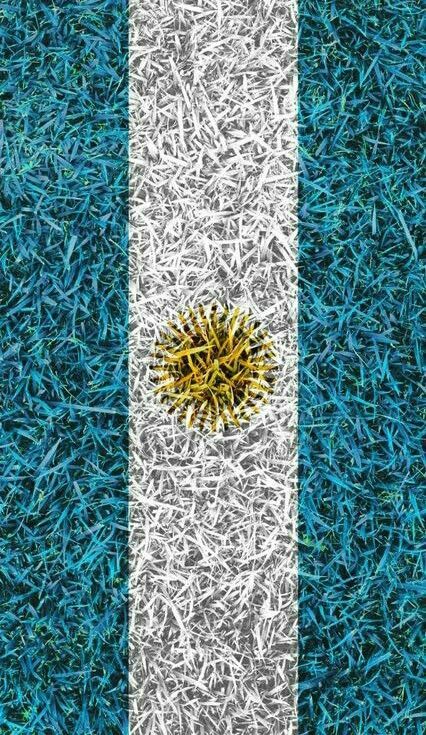 Argentina Flag Aesthetic, Argentina Football Team Wallpaper, Argentina Logo Wallpaper, Argentina Flag Wallpaper, Argentina Background, Argentina Logo, Argentina Wallpaper, Messi Team, Argentina Art