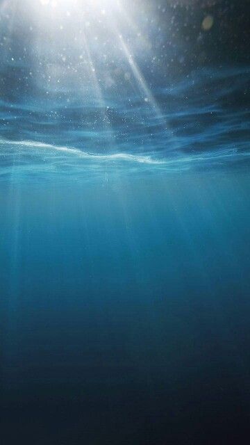 Water From Below, Under The Water Aesthetic, Light In Water, Light Through Water, Underwater Looking Up, Dark Ocean Painting, Under Water Aesthetic, Under Water Background, Underwater Dark