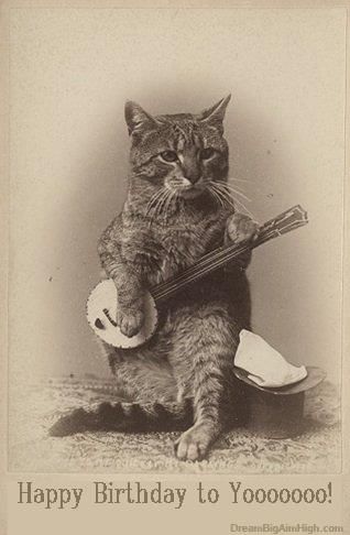 Happy birthday card Face Chat, Steampunk Cat, Old Cats, Cat Playing, Vintage Humor, Vintage Cat, Banjo, Cat Photo, Crazy Cats