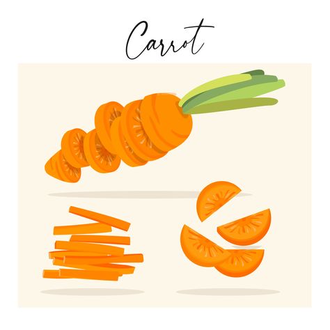 Cut and slice carrot set Veggies Board, Carrot Illustration, Carrot Drawing, Carrot Art, Food Frame, Narrative Illustration, Carrot Design, Storyboard Examples, Recipe Book Covers