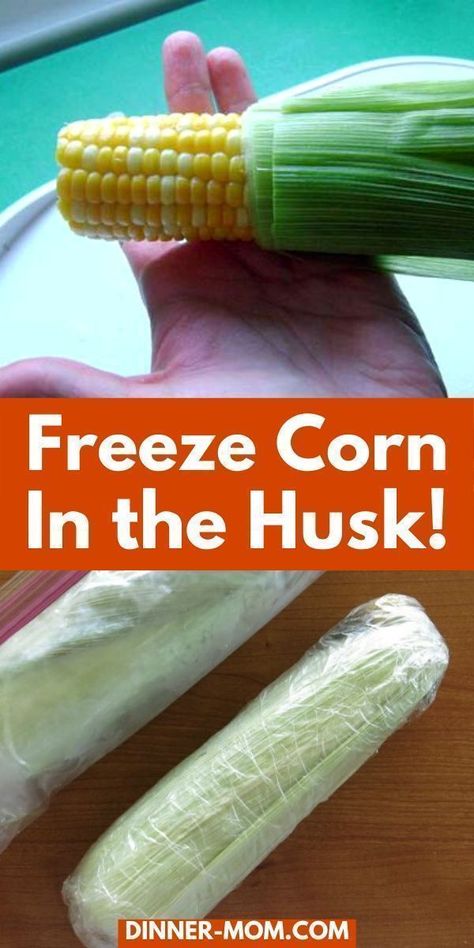 Freezing corn on the cob is the best way to keep fresh corn around the house all year long even when it's out of season. And to make this method even simpler, you don't even have to blanch the corn before storing it! You can use the frozen corn in all your favorite recipes as an easy side or meal that kids and adults will love. If you're looking for a simple method for freezing corn, then you have to check out this cooking hack now! Blanching Veggies For Freezing, Preserving Fresh Corn, Freeze Corn On The Cob Without Blanching, How To Freeze Corn On The Cob Whole, How To Freeze Corn Without Blanching, Canning And Freezing, How To Cook Frozen Corn On The Cob In Husk, Freezing Corn On The Cob In The Husk, Cooking Frozen Corn On The Cob