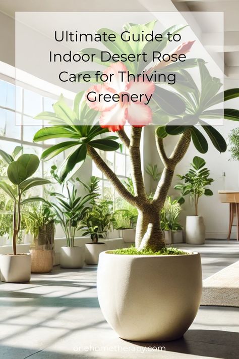 Discover the secrets to lush and thriving Desert Rose plants with our Ultimate Guide to Indoor Desert Rose Care! 🌵✨ Packed with expert tips and easy-to-follow steps, this guide is your go-to resource for creating stunning greenery in your home. Click to explore the best practices for watering, lighting, and more to keep your Desert Rose thriving. Don't miss out on transforming your indoor space—unlock the full potential of your plants today! 📚🌿 #DesertRoseCare #IndoorPlants #GreenThumb Desert Rose Plant Care, Desert Rose Care, Desert Roses, Desert Rose Plant, Flowering Succulents, Rose Plant, Rose Care, Plant Parent, Succulent Soil