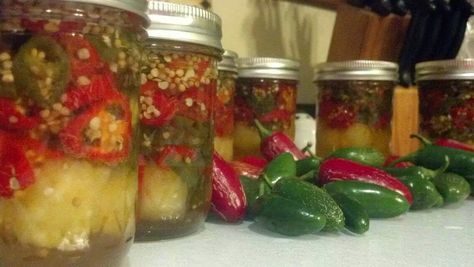 Barbara's Hawaiian Cowboy Candy! Jalapenos, cider vinegar, pineapple, sugar, mustard seed. Canned Peppers, Cake Duck, Hawaiian Cowboy, Pickled Recipes, Pickled Jalapenos, Cowboy Candy, Jalapeño Peppers, Cream Cheese Appetizer, Food Preserving