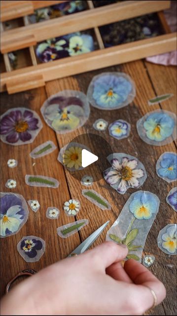 770K views · 29K likes | Cassandra Evans (Sunny) // Folk Living on Instagram: "Biodegradable Pressed Flower Stickers 🌿✨  This idea has been all over Pinterest for years and I’ve been wanting to try it myself, but because I like knowing the items I take from nature can return to nature, I hadn’t done it.  Until I found some clear cello tape, that is. One that allows my beautiful pressed garden blooms to return to the earth where they originated from.  I’ll link some in my stories for those interested, but if you’re fine with using regular clear tape, please don’t feel guilty. Just try to enjoy those stickers for as long as you can ❤️ The goal is not perfection, but small, actionable change.  Anyone else collect stickers as a kid? I think I need a new sticker book just for my pressed flower Pressed Flower Stickers, Pressed Botanical Art, Pressed Flowers Diy, Return To Nature, Pressed Botanicals, Pressed Flower Crafts, Flower Press, Craft Board, Flower Magnets