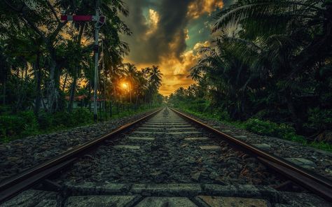 Train railway wallpaper, nature, landscape, sunset, palm trees wallpaper Sri Lanka Desktop Wallpaper, Wallpaper For Laptop, Sunset Palm Trees, Palm Trees Wallpaper, Tropical Wallpaper, Lit Wallpaper, Wallpaper Dekstop, Desktop Background, Tree Wallpaper