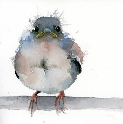 Holly Wach Little Wonders baby bird watercolor prints Bird Watercolor Art, Bird Watercolor Paintings, Bird Watercolor, Diy Watercolor Painting, Watercolor Prints, Watercolor Art Lessons, Diy Watercolor, Baby Bird, Watercolor Inspiration