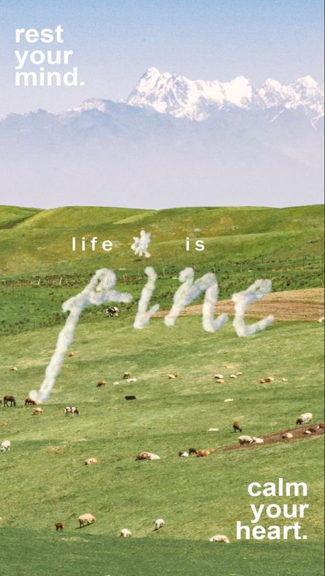 Life Is, Sheep, Iphone, Green, Animals