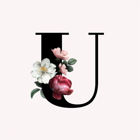 Classic and elegant floral alphabet font letter U | free image by rawpixel.com / manotang Marshmello Wallpapers, U Design, Party Font, Valentine Font, Romantic Fonts, Floral Font, Stylish Alphabets, Alphabet Font, Alfabet Letters