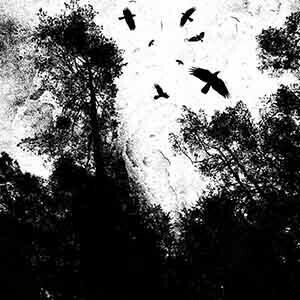 Black Metal Art, Arte Punk, Gothic Aesthetic, Black And White Aesthetic, The Villain, White Aesthetic, Debut Album, Fantasy Landscape, Black Aesthetic