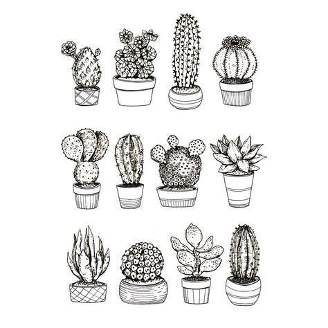 Succulent Drawings, Easy Doodle Art Drawing, Pointalism Art, Succulent Tattoo, Black Pen Drawing, Micron Pen Art, Succulents Illustration, Succulents Drawing, Ink Pen Art