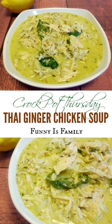 Crock Pot Thai, Slow Cooker Chicken Soup, Ginger Chicken Soup, Chicken Soup Recipe, Ginger Chicken, Soup And Stew, Crock Pot Soup, Chicken Soup Recipes, Asian Dishes