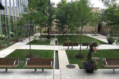 Healing Garden Design Hospital, Hospital Garden Design, Hospital Garden, Healing Garden Design, Hospital Room, Healing Garden, Magic City, Dusty Miller, Beautiful Outdoor Spaces