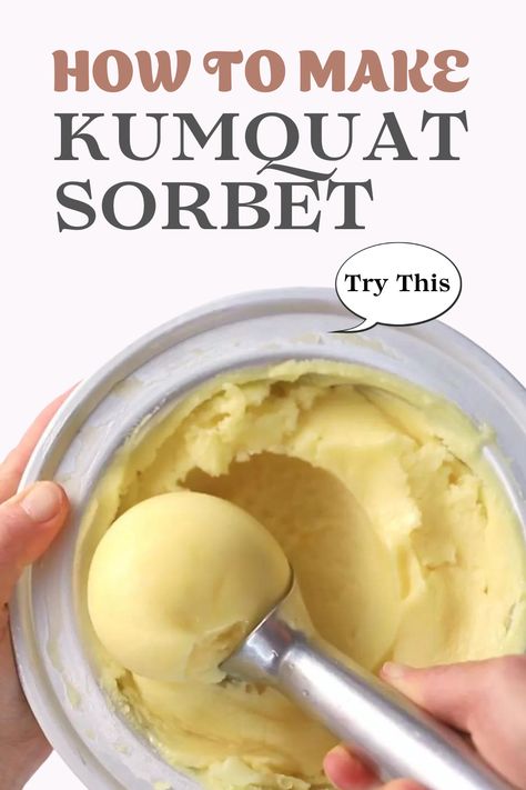 Kumquat Sorbet How To Make Fruit Sorbet, Kumquat Ice Cream, One Ingredient Tangerine Sorbet, Kumquat Recipes Desserts, Mandarin Sorbet, Citrus Sorbet, Glass City, Kumquat Recipes, Sorbet Is