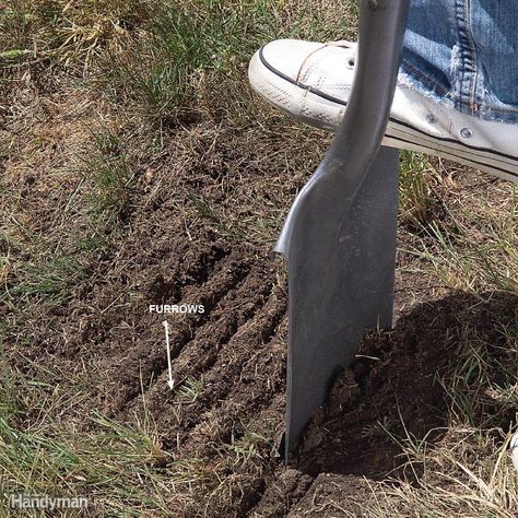 Create 1/4-in.-deep furrows every 2 in. using a flat shovel. This will give your seeds a better chance to settle into the moist soil. Home Made Weedeater, How To Over Seed Your Lawn, Weeds In Driveway Cracks, Diy Lawn Leveling Drag, Aerating Your Lawn, Lawn Repair, Diy Lawn, Lawn Care Tips, Healthy Lawn