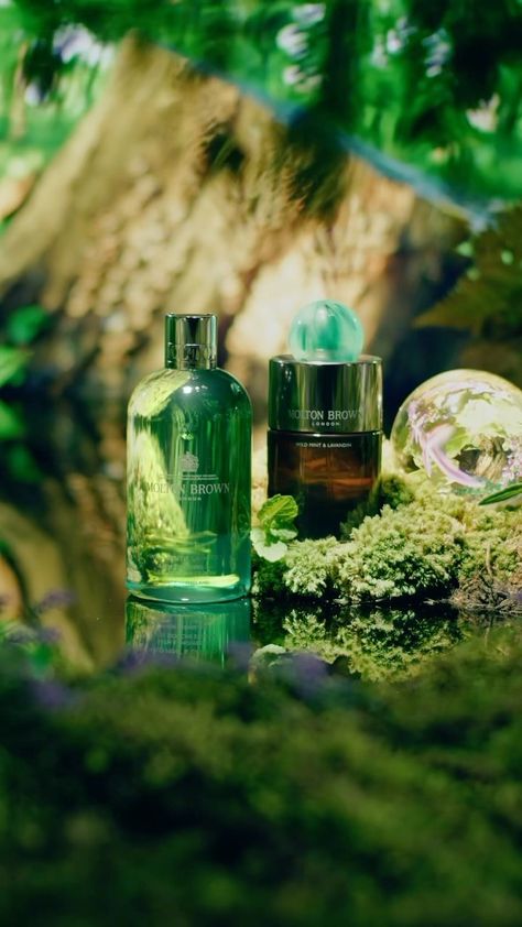 Molton Brown (@moltonbrown) • Instagram photos and videos Orris Root, Wild Mint, Skincare Brush, Japanese Skincare, Camellia Oil, Luxury London, Molton Brown, Face Wrinkles, Foaming Face Wash