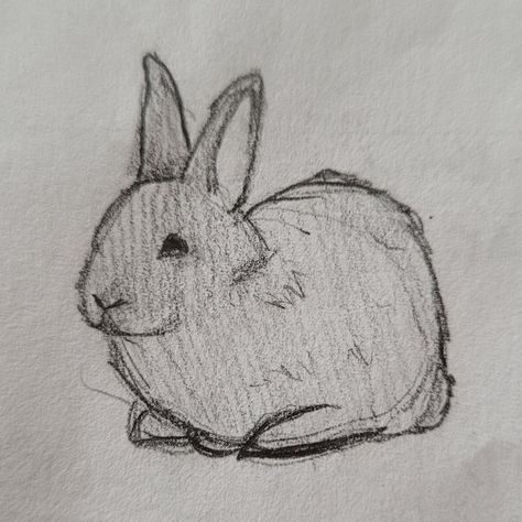 Simple Bunny Drawing, Bunny Drawing Easy, Funny Animal Drawings, Rabbit Drawing Easy, Easy Bunny Drawing, Sketch Vs Final, Bunny Sketches, Arte Punk, Bunny Drawing