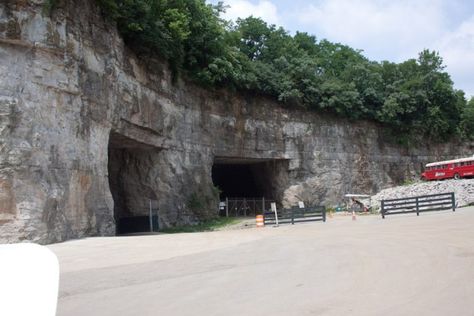 The Incredible Road Trip That Takes You To The Most Magnificent Caves In Kentucky Caves In Kentucky, Kentucky Caves, Louisville Mega Cavern, Underground Cavern, Land Between The Lakes, Kentucky Travel, Farm Show, Kentucky Girl, Mammoth Cave