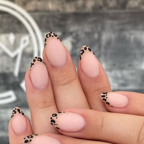 Nail Products & Courses🇨🇦🇷🇸 on Instagram: "I’ve always had a thing for leopard print 😍 .. and especially for leopard French! How y’all feeling it?! 👇🏼   As always, only @nailqueen.studio products used cuzzz I prefer using only the best quality and everything I had prior has been totally shafted 🥲   - “Perfect Cover: Soft Pink” - “Baklava” Gel Polish for the French - “Liner” brush for the french - “Black” Colour Gel for the print - “Velvette” Matte Top Coat for the finish And always using “Super Stick” primer and “Royal Bond” base combo for that everlasting adhesion!! 🎉   All products can  be purchased on www.nail-queen.com/shop" Leopard Print French Tips Almond, French Tip With Leopard Print, French Tip Nails Leopard, Lepord Print Nails French, French Tip Leopard Print, French Tip Leopard Nails, Half Leopard Nails, Pink Leopard Nails, Black And Nude Nails