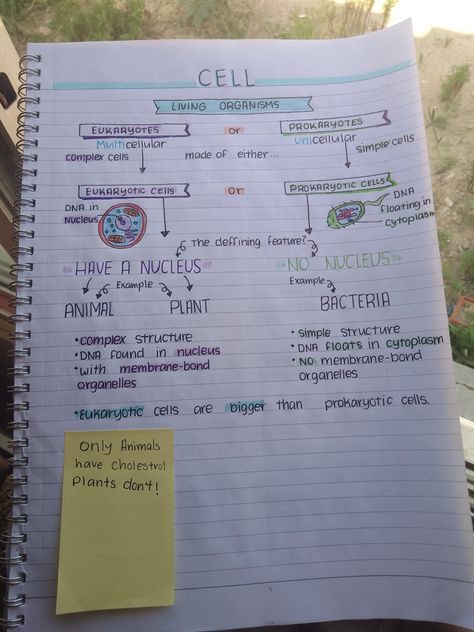 Biology Notes Gr 10, Cell Notes Biology Class 9 Aesthetic, Life Processes Biology Notes Class 10 Aesthetic, Life Science Notes Grade 10, Class 9 Science Notes Biology, Biology Notes Class 10, Inspirational Quotes Education, Educators Quotes, Educated Quotes