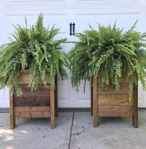 Planter Inspo Outdoor, Diy Front Door Planter Boxes, Custom Planter Boxes, Front Step Planters Entrance, Wooden Outdoor Planters, Large Flower Planters Outdoor, Planters On Side Of House, Flower Planters In Front Of House, Cedar Planters Front Porches