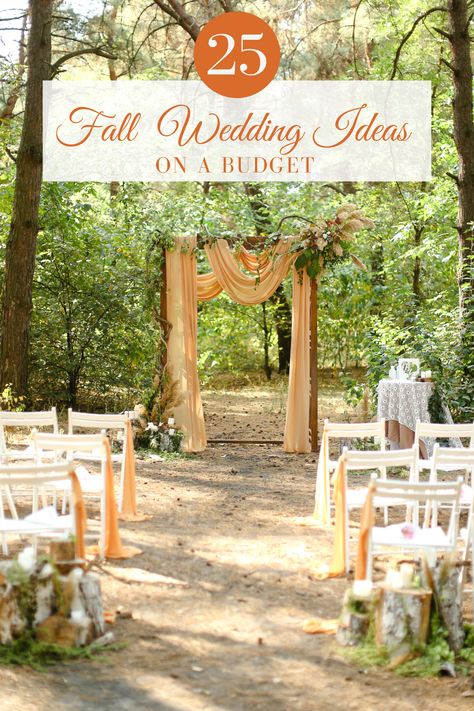 Host a small fall wedding this October in your backyard on a budget. Decorate your autumn wedding with fall flowers, pumpkin wedding decor and rustic wedding centerpieces. No matter your fall color scheme, this selection of rustic fall wedding ideas will transform your wedding. #octoberwedding #novemberwedding #fallwedding #pumpkincenterpiece #rusticwedding #bohowedding #octobercolorpalettes Backyard Wedding Fall Ideas, October Outside Wedding Ideas, October Wedding Decorations Wedding Table Decor, Small Intimate Fall Wedding, Fall Wedding With White Pumpkins, Fall Park Wedding Ideas, Small Rustic Wedding Reception, Autumn Centerpieces For Table Wedding, Outdoor Wedding Aisle Ideas Fall