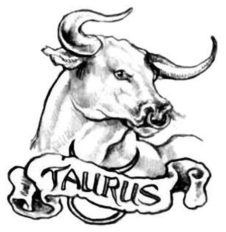 Bull head with Taurus written Underneath Taurus Bull Tattoos, Taurus Constellation Tattoo, Bull Images, Bull Tattoo, Taurus Symbols, Sun In Taurus, Taurus Art, Taurus Constellation, Taurus Bull