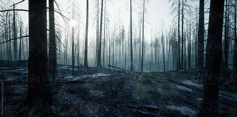 Forest After Fire, Burnt Down Forest, Polluted Forest, Garfield Art, Fire Sketch, Environment References, Battle Field, Wild Fire, Lost Souls