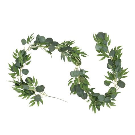 Primrue 6.67' Frohock Garland | Wayfair Vine Greenery, Green Leaf Decor, Jungle Party Decorations, Artificial Eucalyptus Garland, Dollar Eucalyptus, Feuille Eucalyptus, Artificial Christmas Garland, Silver Dollar Eucalyptus, Willow Leaf