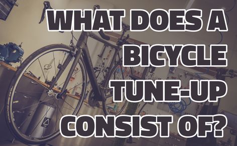 Climbing Exercises, Utility Trailer Upgrades, Trailer Upgrades, Bike Service, Fitness Nutrition Plan, Bike Gadgets, Recumbent Trikes, Triathlon Motivation, Bicycle Mechanics