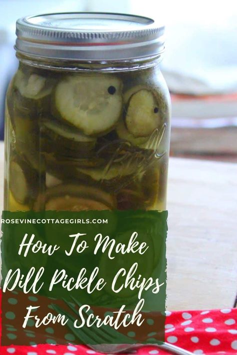 Hamburger Dill Pickle Recipe, Pickle Chips Recipe, Crispy Dill Pickles, Canning Pickles Recipe, Make Pickles, Easy Pickle, Bbq Pork Sandwiches, How To Make Hamburgers, Dill Pickle Recipe