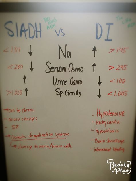 SIADH And DI Siadh Nursing Mnemonic, Di Vs Siadh Nursing, Siadh Nursing, Nursing Terminology, Nurse Advice, Advanced Pathophysiology, Endocrine System Nursing, Nursing Major, Nursing Student Humor