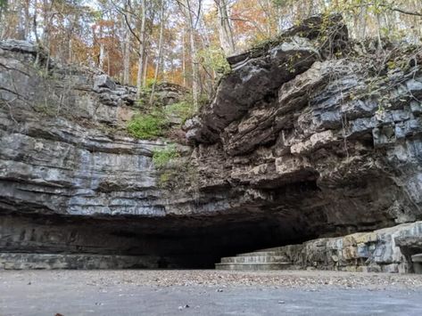 The Secluded Dunbar Cave In Tennessee An Underground Adventure Tennessee Attractions, Clarksville Tennessee, Cave Tours, Clarksville Tn, Things To Do With Kids, Cave In, Family Destinations, Fun Family Activities, Sacred Places