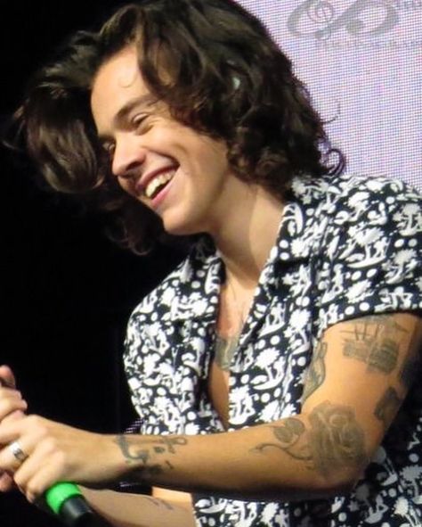 Prince Hair Harry, Prince Harry Styles, Harry Styles Hair, Prince Hair, S Curl, Harry Styles Pictures, Harry Styles Photos, Mr Style, Harry Edward Styles