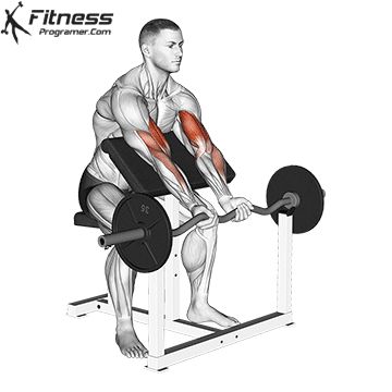 Z-bar preacher curl is one of the most effective arm building exercises you can incorporate into your arm workout program. Best Biceps, Fitness Studio Training, Forearm Muscles, Best Leg Workout, Forearm Workout, Bicep Muscle, Preacher Curls, Big Biceps, Gym Workout Chart